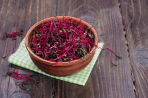 Bio Radieschen Microgreens Samen – Bild 3